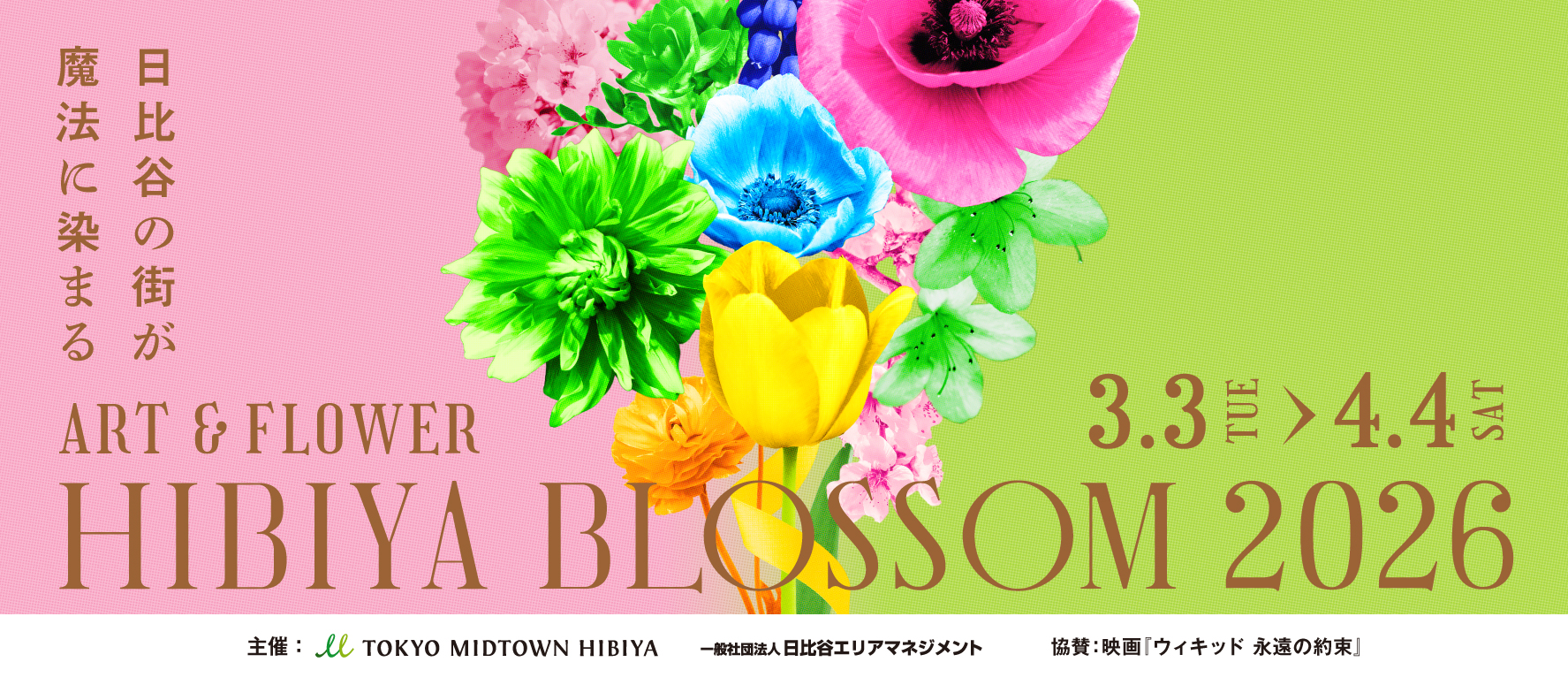 HIBIYA BLOSSOM