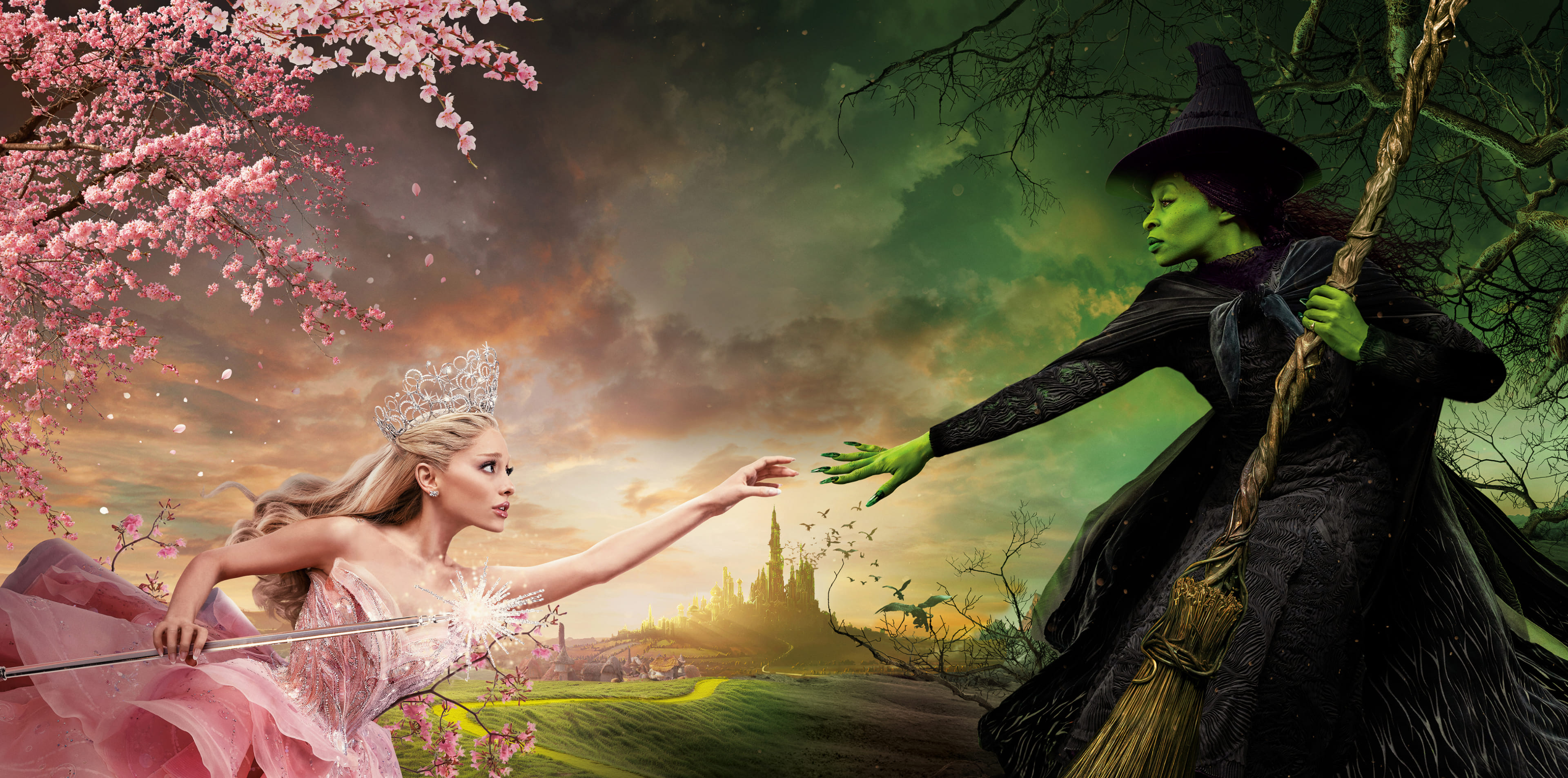 main visual
